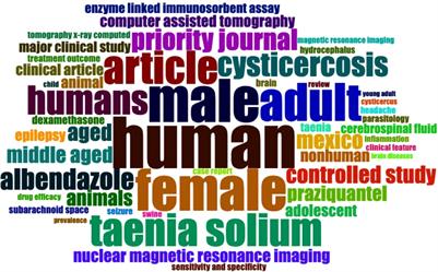 Neurocysticercosis research in Mexico: A bibliometric analysis of the Instituto Nacional de Neurología y Neurocirugía Manuel Velasco Suárez